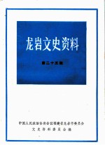 龙岩文史资料 第23辑
