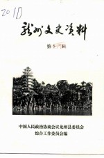 龙州文史资料 第13辑