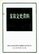 龙岩文史资料 第20辑