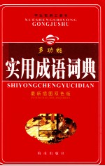多功能实用成语词典