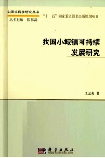 我国小城镇可持续发展研究 以山东省为例