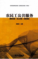 农民工公共服务 国际经验、本土实践、政策建议
