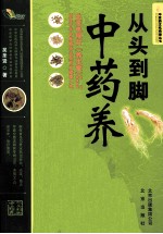 中医药文化传播丛书 从头到脚中药养