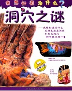 我想知道为什么？ 洞穴之谜