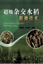 超级杂交水稻制种技术