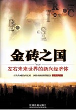 金砖之国 左右未来世界的新兴经济体