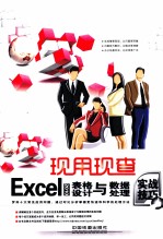 Excel 2010表格设计与数据处理实战技巧