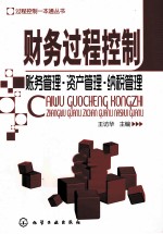 过程控制一本通丛书 财务过程控制 账务管理·资产管理·纳税管理