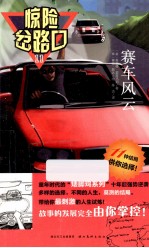 惊险岔路口 11 赛车风云