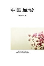 中国触动 百国视野下的观察与思考