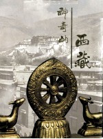 神奇的西藏