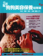 在家帮狗狗美容保养