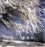 东北行 上