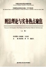 中国刑法学年会文集 2010年度 刑法理论与实务热点聚焦 上