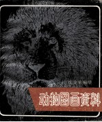动物图画资料