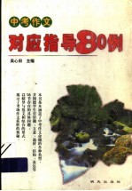 中考作文对应指导80例