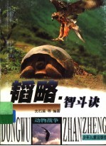 韬略·智斗诀