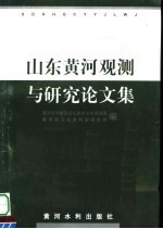 山东黄河观测与研究论文集
