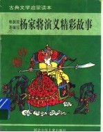 杨家将演义精彩故事