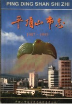 平顶山市志 1987-1995