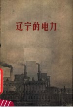辽宁的电力