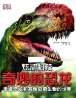 炫动科技 奇妙的恐龙