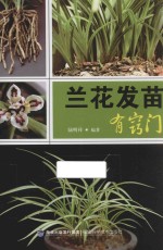 兰花发苗有窍门