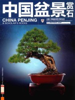 中国盆景赏石 2013 “唐苑的世界盆景对话”特别专辑