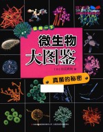 微生物大图鉴 真菌的秘密