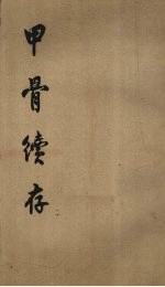 甲骨续存 2