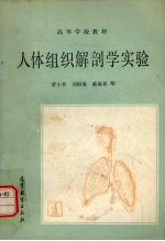 人体组织解剖学实验