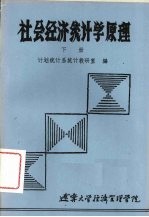 社会经济统计学原理 下