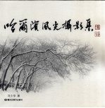 哈尔滨风光摄影集