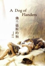 佛兰德斯的狗