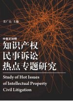 知识产权民事诉讼热点专题研究 中英文对照