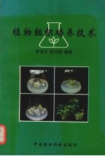 植物组织培养技术