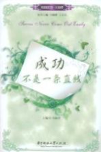 成功不是一条直线