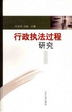 行政执法过程研究