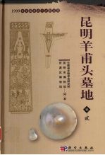 昆明羊甫头墓地 卷2