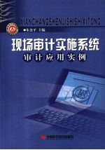 现场审计实施系统：审计应用实例