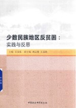 少数民族地区反贫困 实践与反思