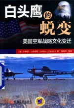 白头鹰的蜕变 美国空军战略文化变迁