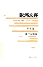 张炜文存 外省书 丑行或浪漫 插图珍藏版