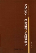 文化诗学 理论建构与实践策略