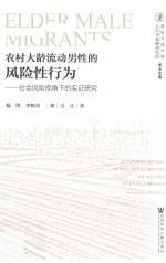 农村大龄流动男性的风险性行为 社会风险视角下的实证研究