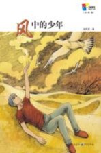 风中的少年 彩图版