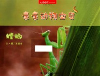 亲亲动物宝贝 螳螂