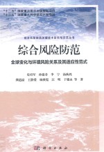 综合风险防范 全球变化与环境风险关系及其适应性范式
