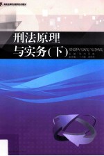 刑法原理与实务 下