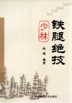 少林铁腿绝技